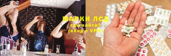 твердый Бородино