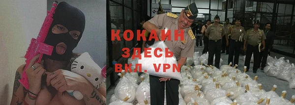 твердый Бородино
