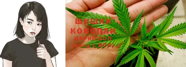 PSILOCYBIN Бронницы