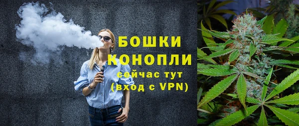 твердый Бородино