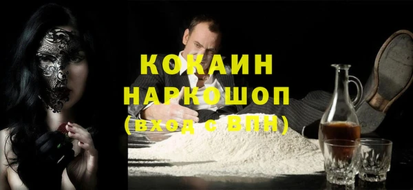 spice Богородск