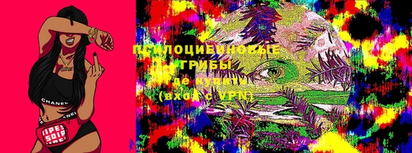 а пвп мука Бугульма