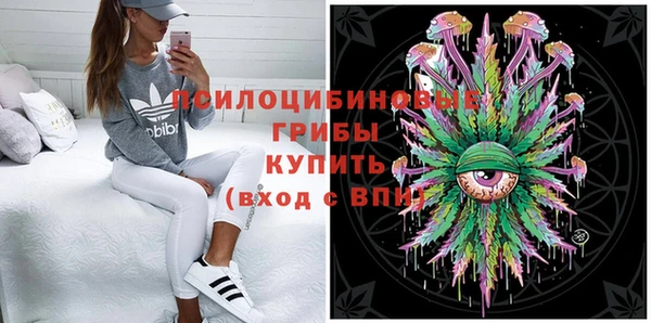 а пвп мука Рославль