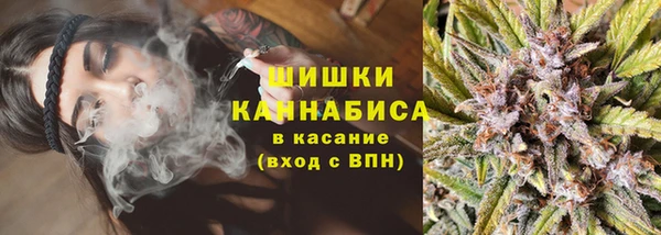 твердый Бородино
