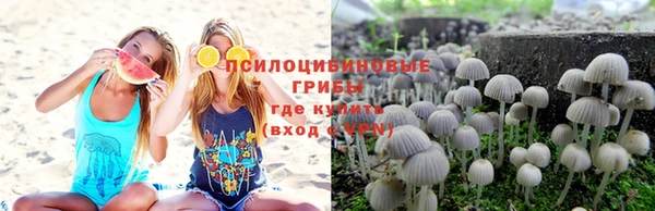 твердый Бородино