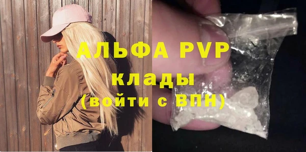 твердый Бородино