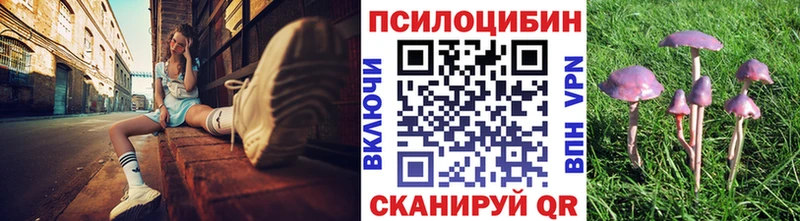гидра зеркало  Выкса  Псилоцибиновые грибы Cubensis  где можно купить наркотик 