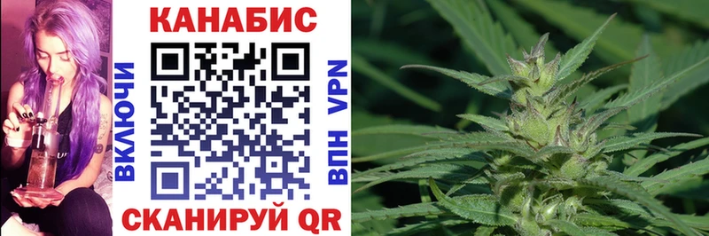Бошки Шишки ГИДРОПОН  hydra   Выкса 